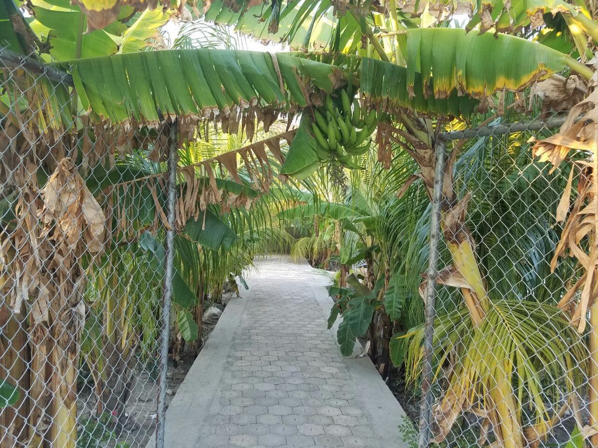 Auberge Pont-Gaudin Gonaives Εξωτερικό φωτογραφία